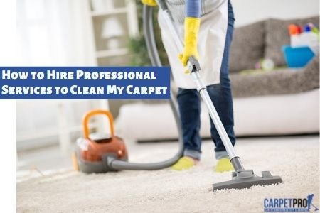 Carpet Cleaning Maidstone: How Do I Hire Professional Carpet Cleaners to Clean My Carpet? 1 Professional Carpet Cleaners