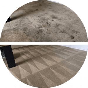 carpet cleaning