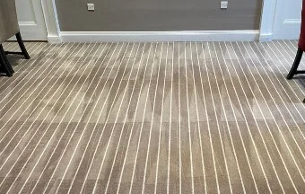 Sevenoaks Carpet Cleaning 2 professional-carpet-cleaning