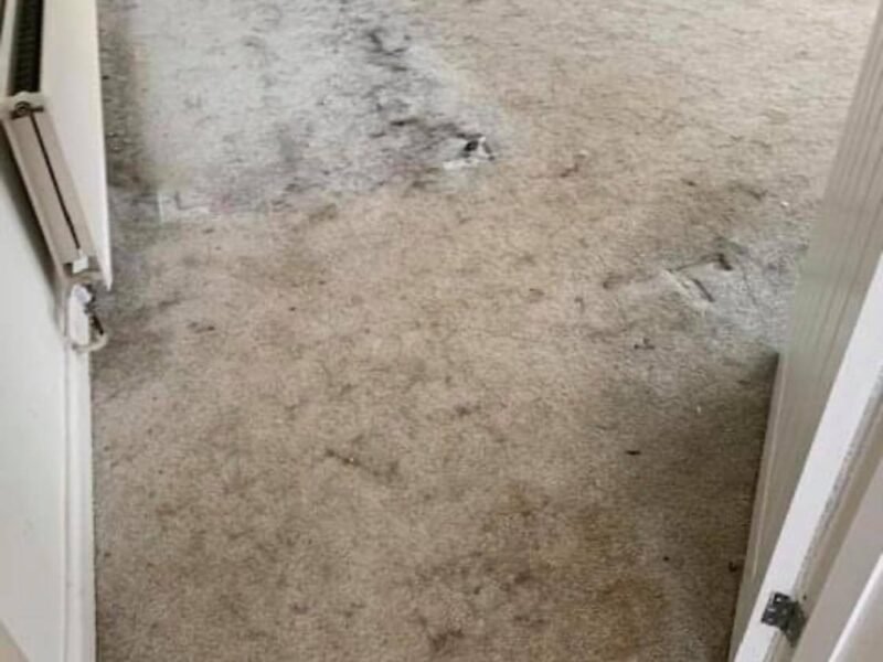 Carpet Cleaning Tunbridge Wells 5 36