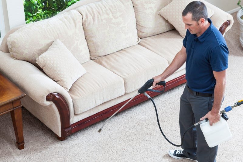 Carpet Odour 3