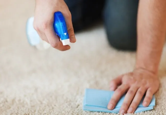 how to clean carpet