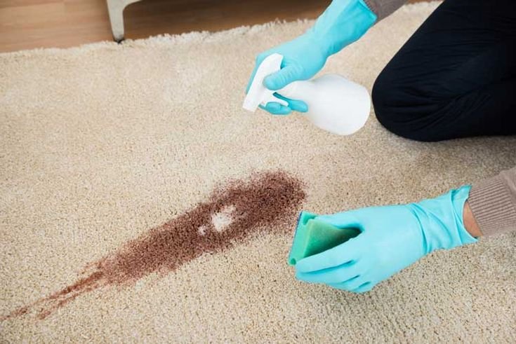 Coffee Stain Removal Maidstone 7 remove coffeestain